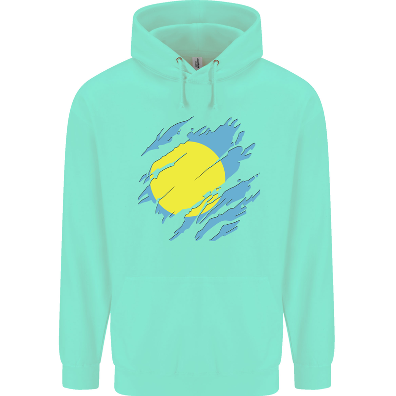 Torn Palau Flag Palauan Day Football Childrens Kids Hoodie Peppermint