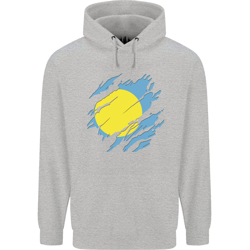 Torn Palau Flag Palauan Day Football Childrens Kids Hoodie Sports Grey