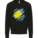 Torn Palau Flag Palauan Day Football Kids Sweatshirt Jumper Black