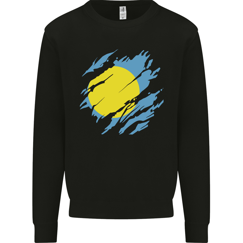 Torn Palau Flag Palauan Day Football Mens Sweatshirt Jumper Black