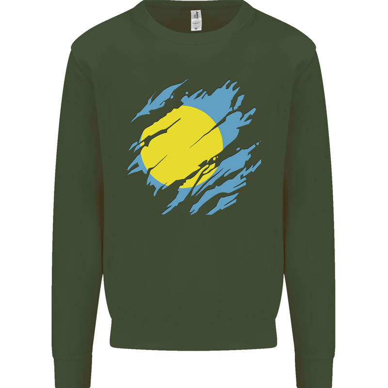 Torn Palau Flag Palauan Day Football Mens Sweatshirt Jumper Forest Green