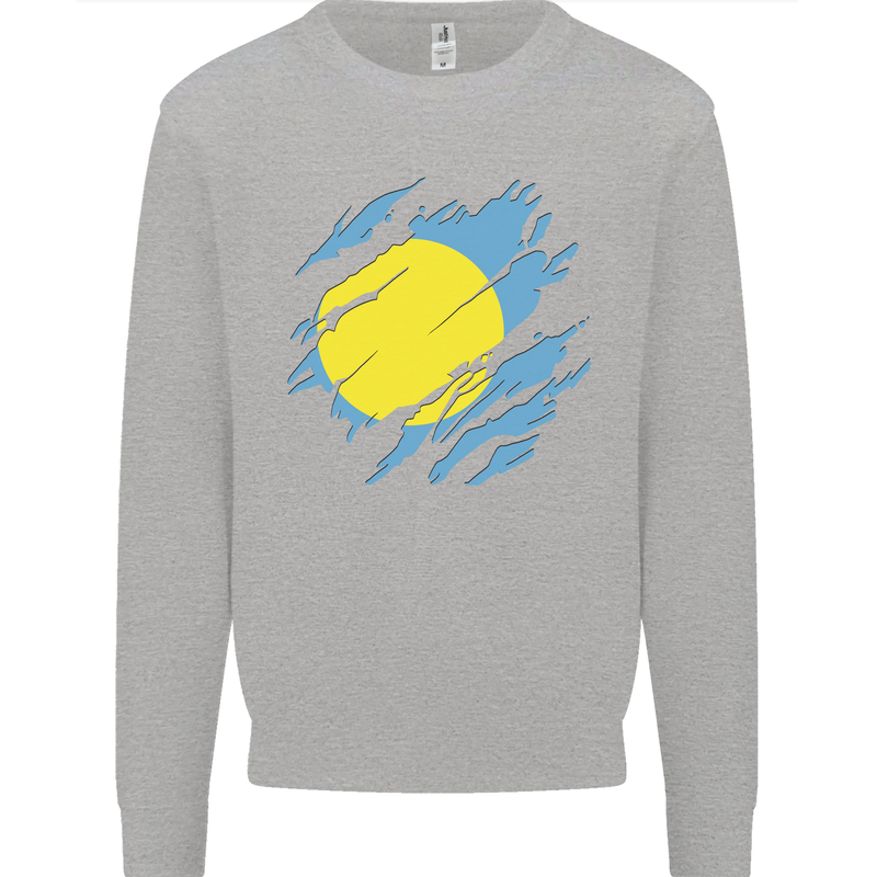 Torn Palau Flag Palauan Day Football Mens Sweatshirt Jumper Sports Grey