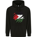 Torn Palestine Flag Palestinian Day Football Childrens Kids Hoodie Black