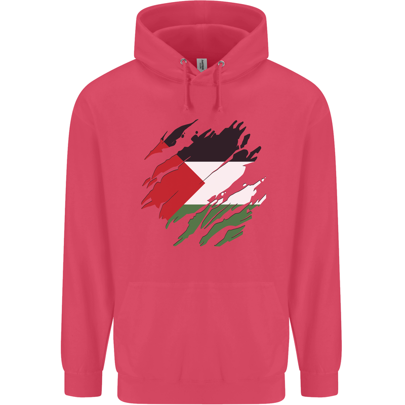 Torn Palestine Flag Palestinian Day Football Childrens Kids Hoodie Heliconia
