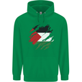 Torn Palestine Flag Palestinian Day Football Childrens Kids Hoodie Irish Green