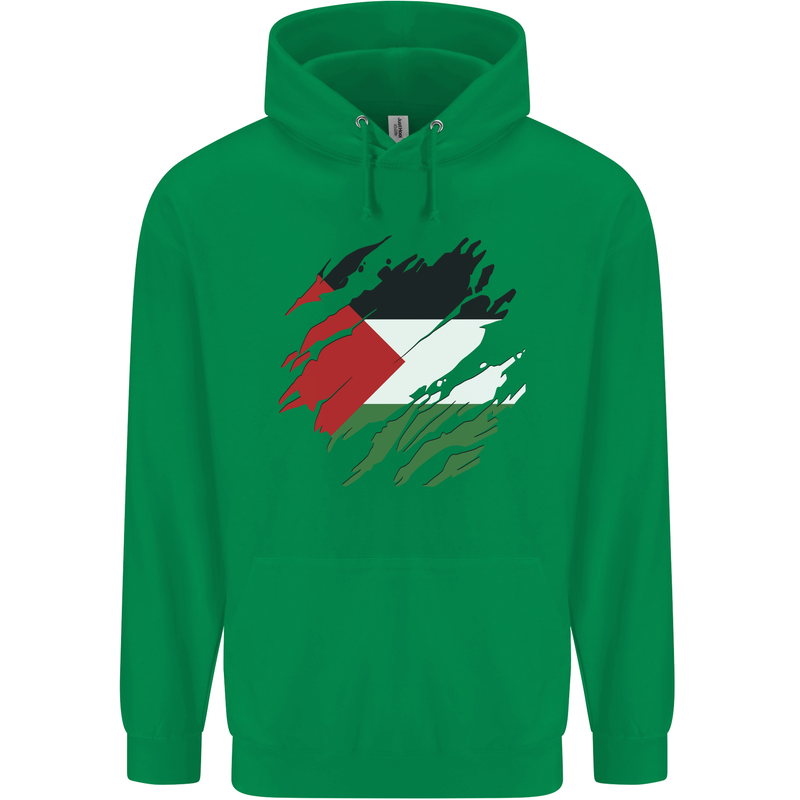 Torn Palestine Flag Palestinian Day Football Childrens Kids Hoodie Irish Green