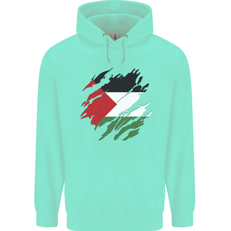 Torn Palestine Flag Palestinian Day Football Childrens Kids Hoodie Peppermint