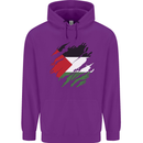 Torn Palestine Flag Palestinian Day Football Childrens Kids Hoodie Purple