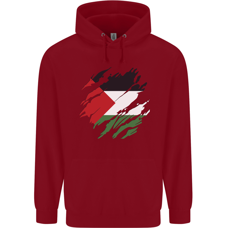 Torn Palestine Flag Palestinian Day Football Childrens Kids Hoodie Red