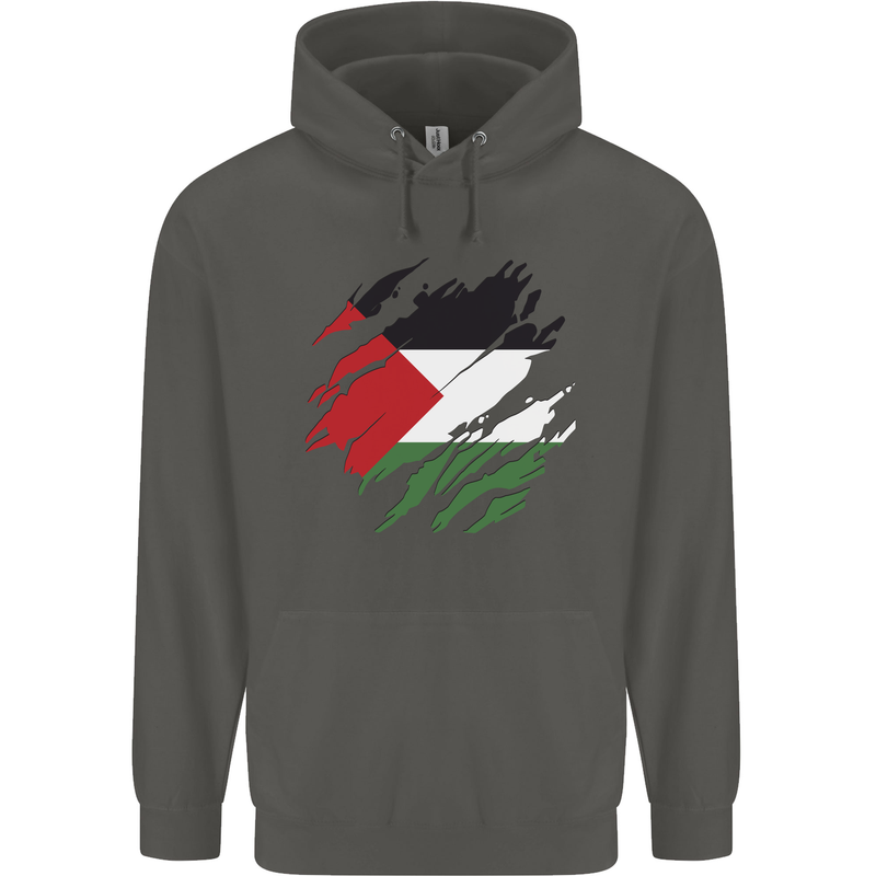 Torn Palestine Flag Palestinian Day Football Childrens Kids Hoodie Storm Grey