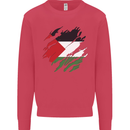 Torn Palestine Flag Palestinian Day Football Kids Sweatshirt Jumper Heliconia