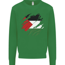 Torn Palestine Flag Palestinian Day Football Kids Sweatshirt Jumper Irish Green