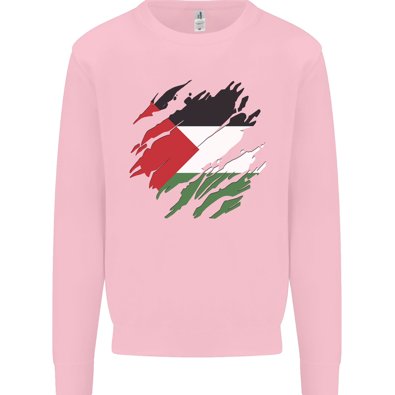 Torn Palestine Flag Palestinian Day Football Kids Sweatshirt Jumper Light Pink