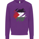 Torn Palestine Flag Palestinian Day Football Kids Sweatshirt Jumper Purple