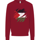 Torn Palestine Flag Palestinian Day Football Kids Sweatshirt Jumper Red