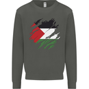 Torn Palestine Flag Palestinian Day Football Kids Sweatshirt Jumper Storm Grey