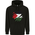 Torn Palestine Flag Palestinian Day Football Mens 80% Cotton Hoodie Black