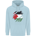 Torn Palestine Flag Palestinian Day Football Mens 80% Cotton Hoodie Light Blue