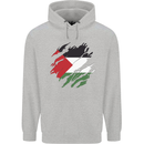Torn Palestine Flag Palestinian Day Football Mens 80% Cotton Hoodie Sports Grey