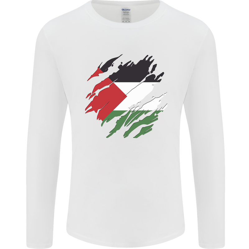 Torn Palestine Flag Palestinian Day Football Mens Long Sleeve T-Shirt White