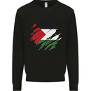 Torn Palestine Flag Palestinian Day Football Mens Sweatshirt Jumper Black