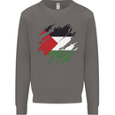Torn Palestine Flag Palestinian Day Football Mens Sweatshirt Jumper Charcoal