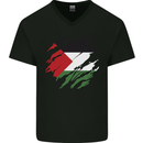 Torn Palestine Flag Palestinian Day Football Mens V-Neck Cotton T-Shirt Black