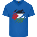 Torn Palestine Flag Palestinian Day Football Mens V-Neck Cotton T-Shirt Royal Blue