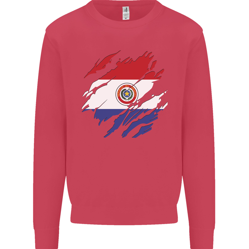 Torn Paraguay Flag Paraguayan Day Football Kids Sweatshirt Jumper Heliconia