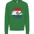 Torn Paraguay Flag Paraguayan Day Football Kids Sweatshirt Jumper Irish Green