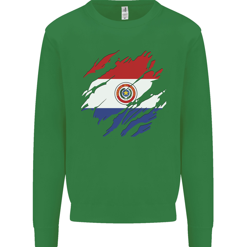Torn Paraguay Flag Paraguayan Day Football Kids Sweatshirt Jumper Irish Green