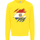 Torn Paraguay Flag Paraguayan Day Football Kids Sweatshirt Jumper Yellow