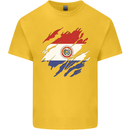Torn Paraguay Flag Paraguayan Day Football Mens Cotton T-Shirt Tee Top Yellow