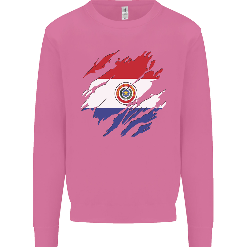 Torn Paraguay Flag Paraguayan Day Football Mens Sweatshirt Jumper Azalea