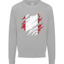 Torn Peru Flag Peruvian Day Football Kids Sweatshirt Jumper Sports Grey