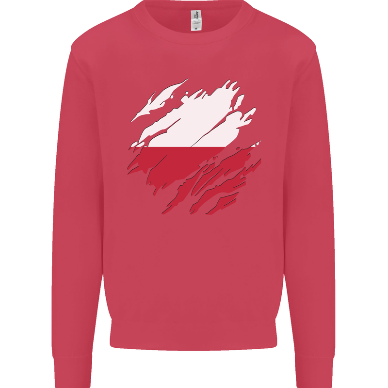 Torn Poland Flag Polish Day Football Kids Sweatshirt Jumper Heliconia
