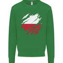 Torn Poland Flag Polish Day Football Kids Sweatshirt Jumper Irish Green