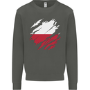 Torn Poland Flag Polish Day Football Kids Sweatshirt Jumper Storm Grey