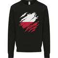 Torn Poland Flag Polish Day Football Mens Sweatshirt Jumper Black