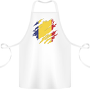 Torn Romania Flag Romanian Day Football Cotton Apron 100% Organic White