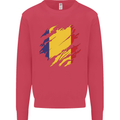 Torn Romania Flag Romanian Day Football Kids Sweatshirt Jumper Heliconia