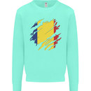 Torn Romania Flag Romanian Day Football Kids Sweatshirt Jumper Peppermint
