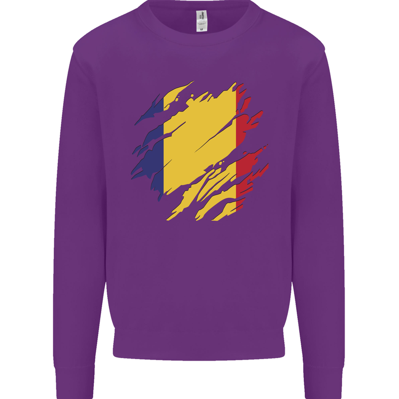 Torn Romania Flag Romanian Day Football Kids Sweatshirt Jumper Purple