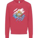 Torn San Marino Flag Sammarinese Day Football Kids Sweatshirt Jumper Heliconia