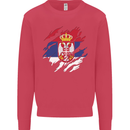 Torn Serbia Flag Serbia Day Football Kids Sweatshirt Jumper Heliconia