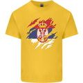 Torn Serbia Flag Serbia Day Football Kids T-Shirt Childrens Yellow