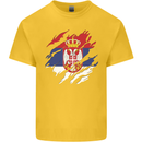 Torn Serbia Flag Serbia Day Football Mens Cotton T-Shirt Tee Top Yellow