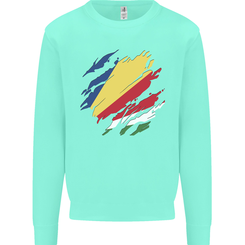 Torn Seychelles Flag Seychellois Day Football Kids Sweatshirt Jumper Peppermint