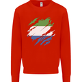 Torn Sierra Leone Flag Leonian Day Football Kids Sweatshirt Jumper Bright Red