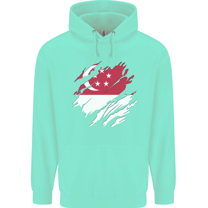 Torn Singapore Flag Singaporean Day Football Childrens Kids Hoodie Peppermint